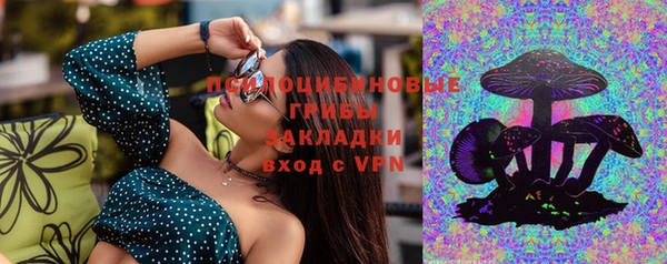 стафф Баксан